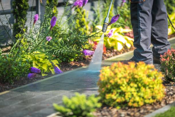 Best Spring Cleaning  in Cool Valley, MO